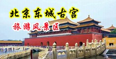 日风骚女人逼中国北京-东城古宫旅游风景区
